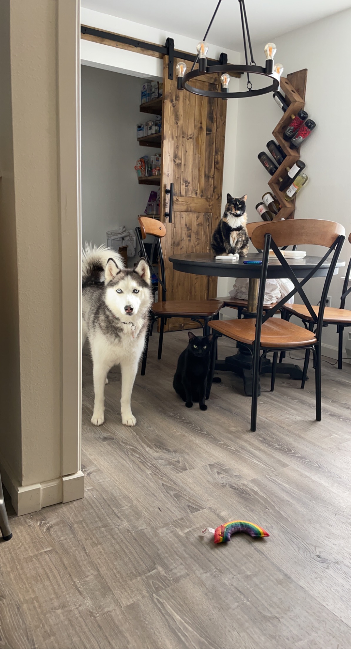 Building a Life - Photo 2